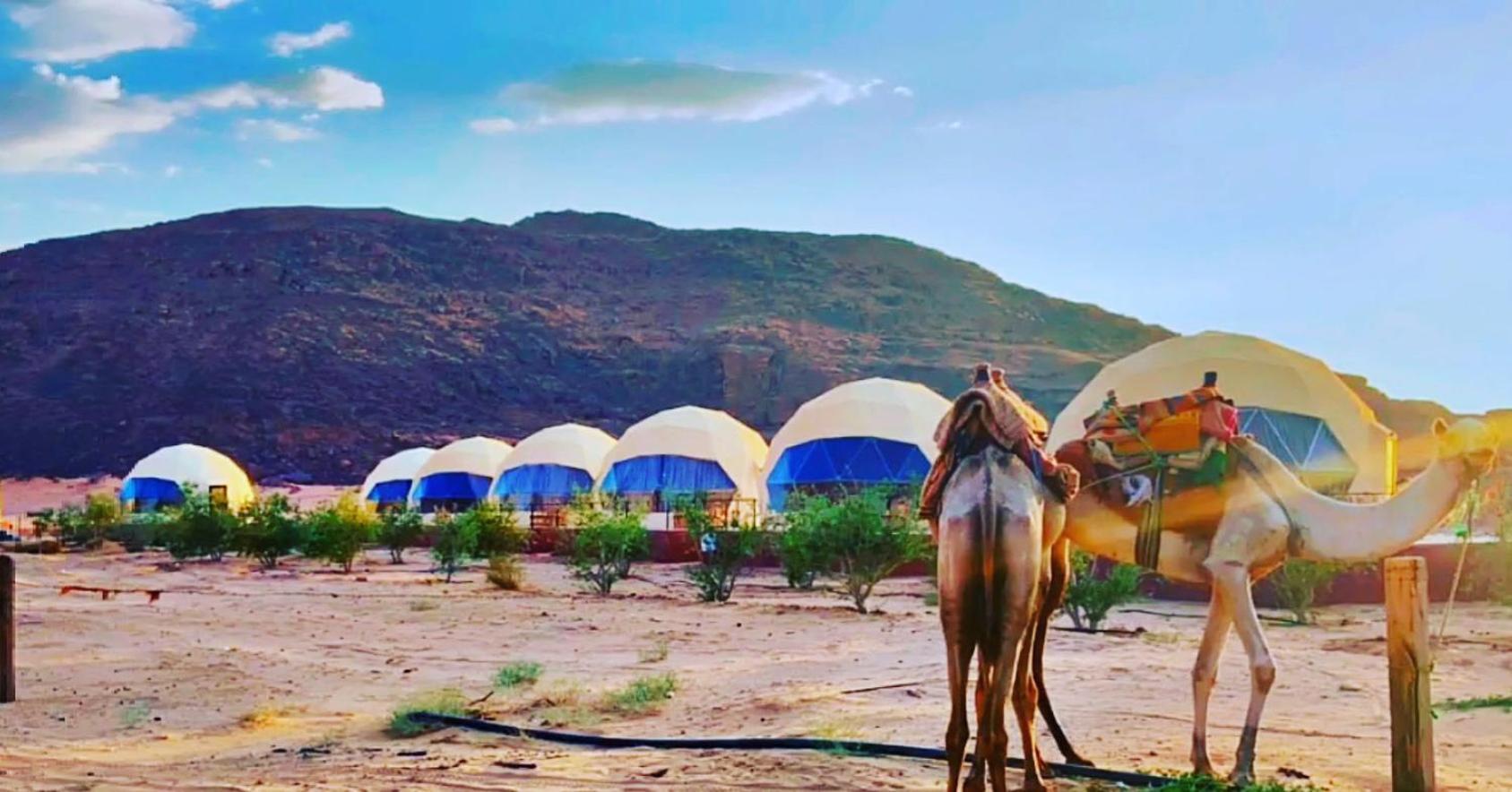 Adel Rum Camp Bubbles Ram Vadisi Dış mekan fotoğraf